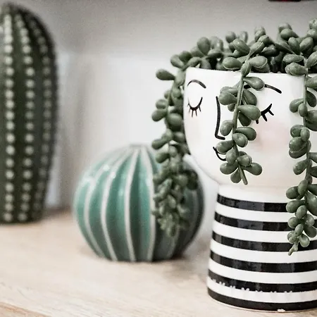 Daire Kazincy - 1br & Stylish Budapeşte